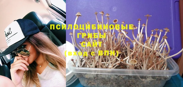 гидропоника Покачи