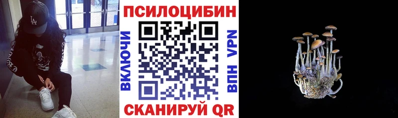 Галлюциногенные грибы прущие грибы  Щёлкино 